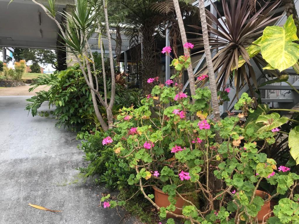 Coffs Shearwater Motel Κοφς Χάρμπουρ Εξωτερικό φωτογραφία